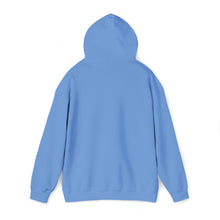 Load image into Gallery viewer, Miss Tampa Bay Softball - FishHawk - Unisex Heavy Blend™ Hooded Sweatshirt
